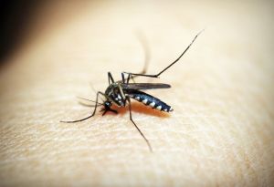 Malaria vaccine in Kenya - a potential game-changer