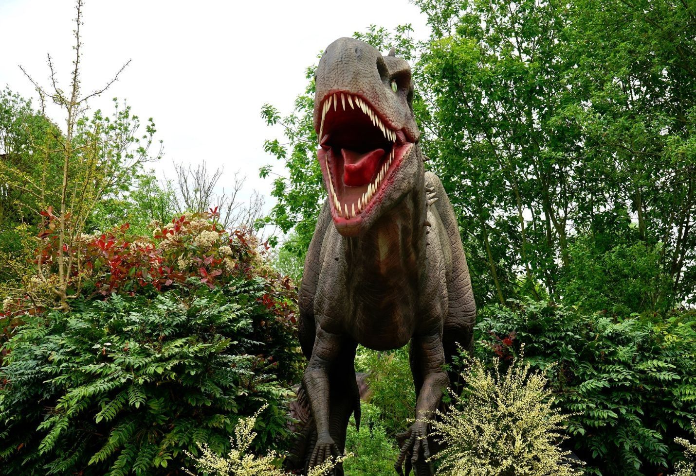 Chicxulub crater study reveals the terrible end of the dinosaurs