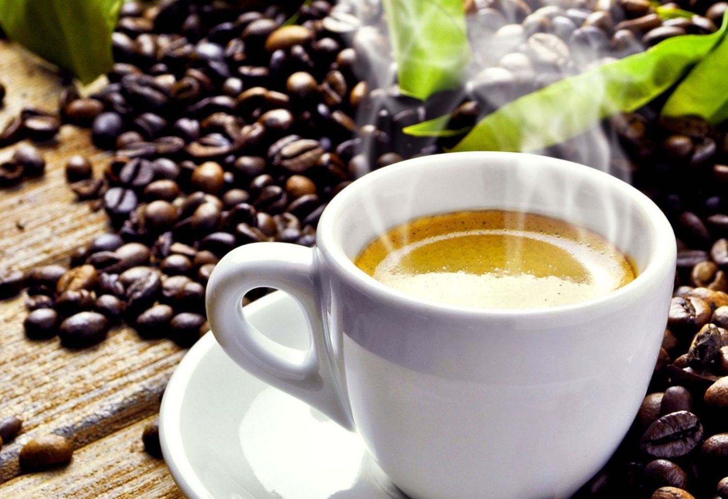 Coffee Shop Brags About Going Green, Gets Fined by the Department of Sanitation